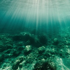 Fukumean x Drip Too Hard Mashup