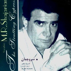 به سکوت سرد زمان
