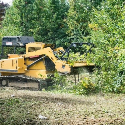 Stream Top Reasons to Choose Forestry Mulching for Your Land Clearing ...