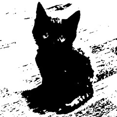 HEN10 / VINYL24