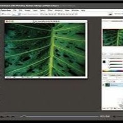 Photoshop Tutorial In Hindi Cs3 Serial Number