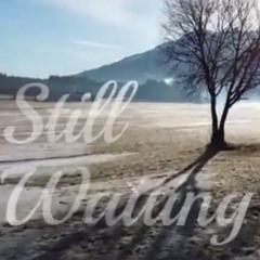 Still Waiting