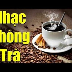 Tuyển Tập Nhạc Không Lời Nghe Phòng Trà Hay Nhất - Nhạc thiền - tĩnh tâm - nhạc không lời