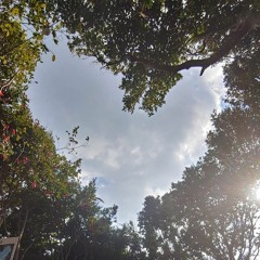 선물(Present) (Originally performed by K.Will)