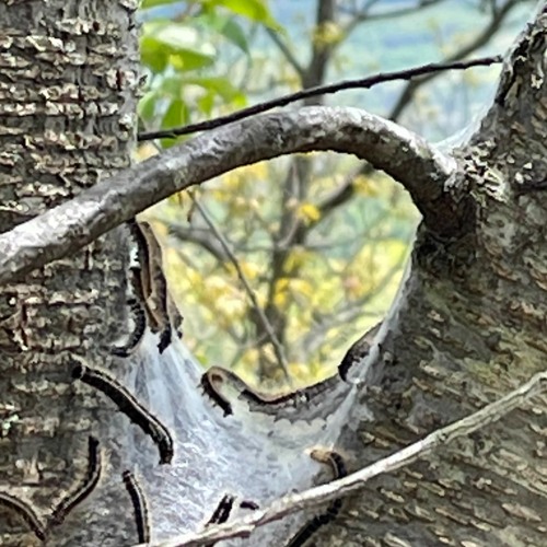 CS349 Final Assignment - Lets Vibe One Last Time