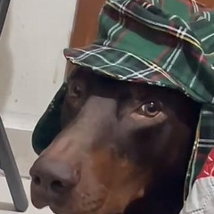 Sin guardar 02 Yella Alfaro nd prod.wav