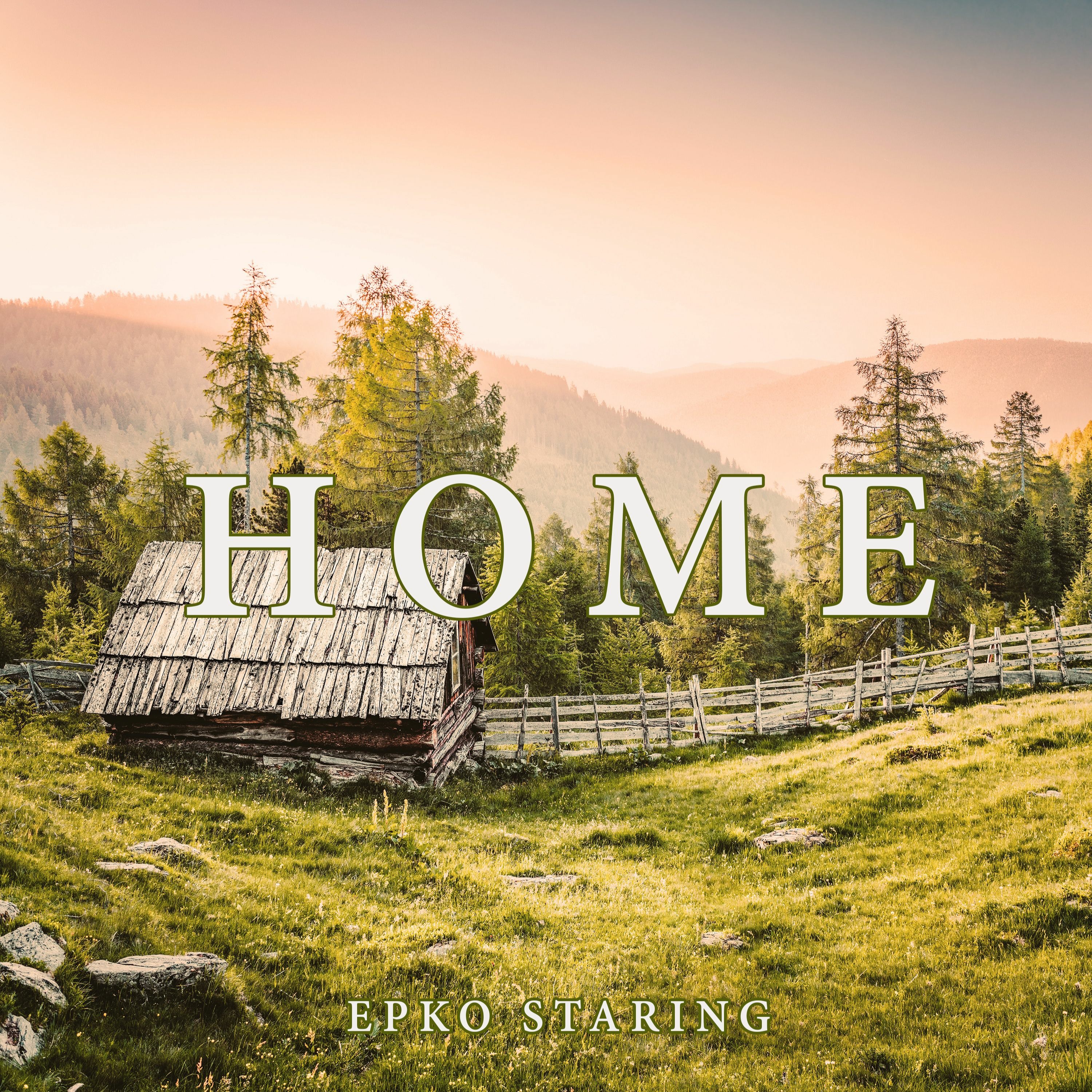 Home episode artwork