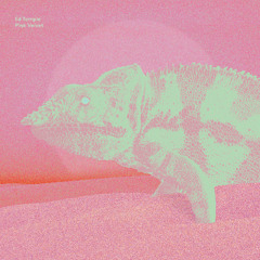 PREMIERE: Ed Temple - Pink Velvet [Templé Musiq]