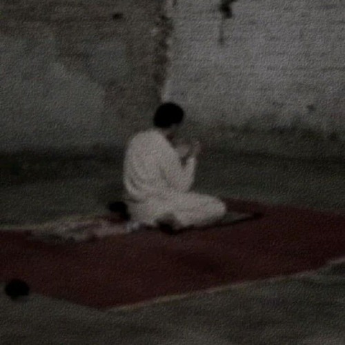 تلاوة أيوبية للشيخ أحمد بن طالب من سورة النحل.