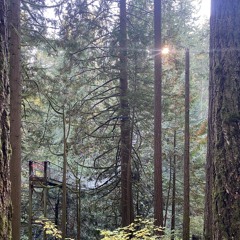 SpeakEasy (Xspliffic Beat)