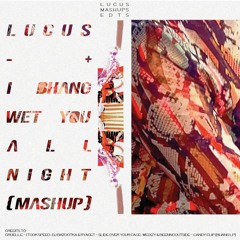 I bhang wet you all night (mashup)