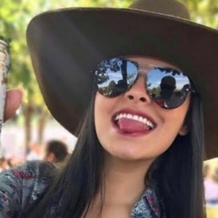 SELEÇÃO DE FORROZIN 2024 PRA BATER NO PAREDÃO - DJ LUANZINHO YTB