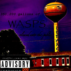 me and the wasps