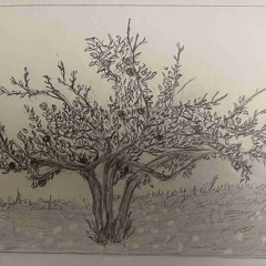 Rain pain and sorrow