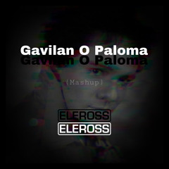 Gavilan o Paloma - Eleross Mashup