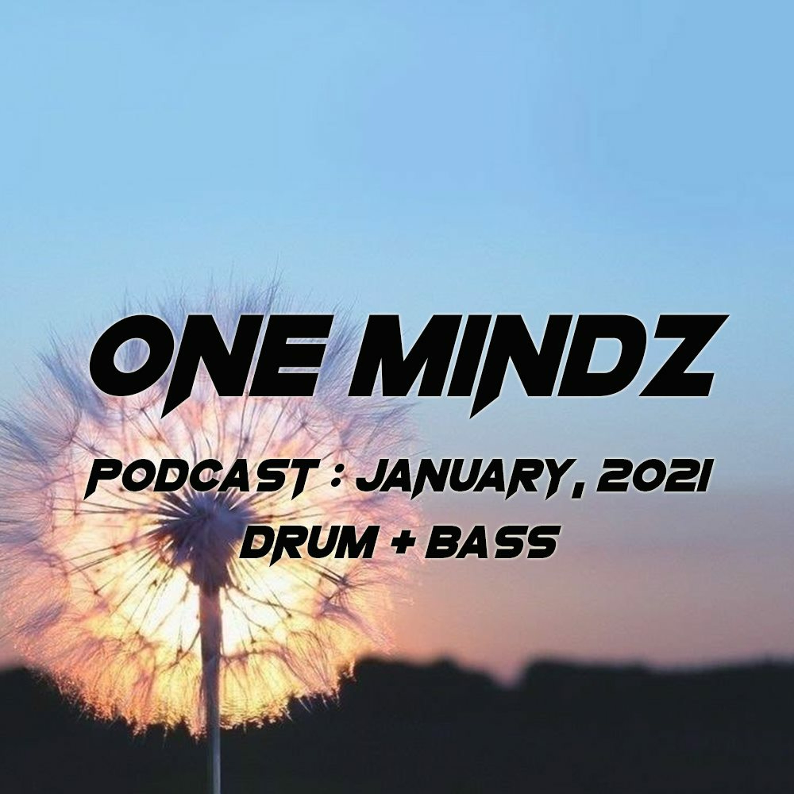 One Mindz Podcast (Drum & Bass)