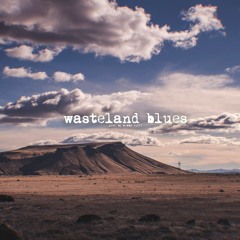 [FREE] Chris Stapleton / Yelawolf type instrumental "Wasteland Blues" (Prod. by Bubba Cliff)