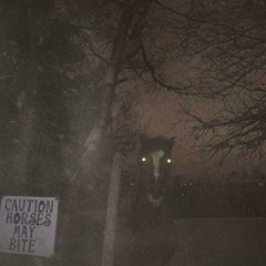 terror horse