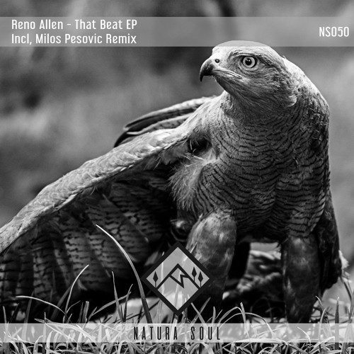 Reno Allen - That Beat (Milos Pesovic Remix)