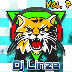 Dj Linze - Vol 7