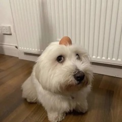 Просто классные