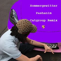 Pashanim - Sommergewitter Catgroup Remix