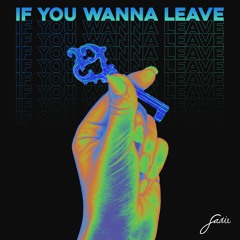 If You Wanna Leave