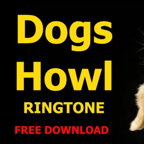 Stream Dogs Howl Ringtone FREE Easy Download Dog Howling Sound Effect