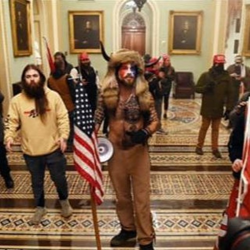 Storming the Capitol Mix Chapter I - Breaking and entering