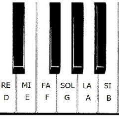 Trash notes (Feat Tricoma)