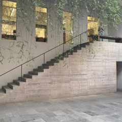 untitledx01HUSH-TYPE