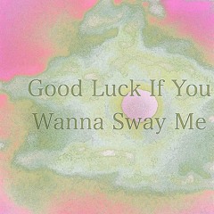 Good luck if you wanna sway me