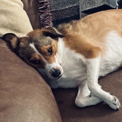 Case of the Mondays