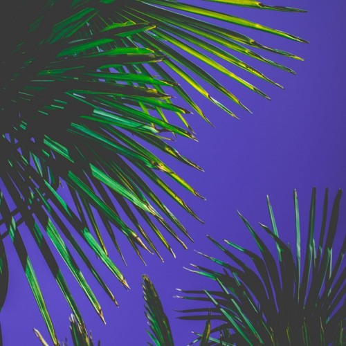 House Mix | Melodic, Tech, Progressive, Electro and Bass