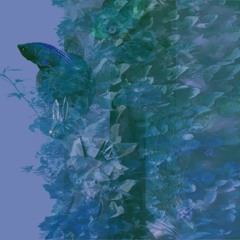 Sacred & Such Demo 2