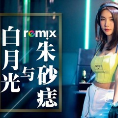 大籽 - 白月光与朱砂痣 [DJ Remix 舞曲]