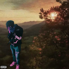 Party Animal! *prod. solucky