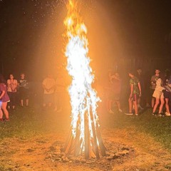 Coșmarul toaletelor