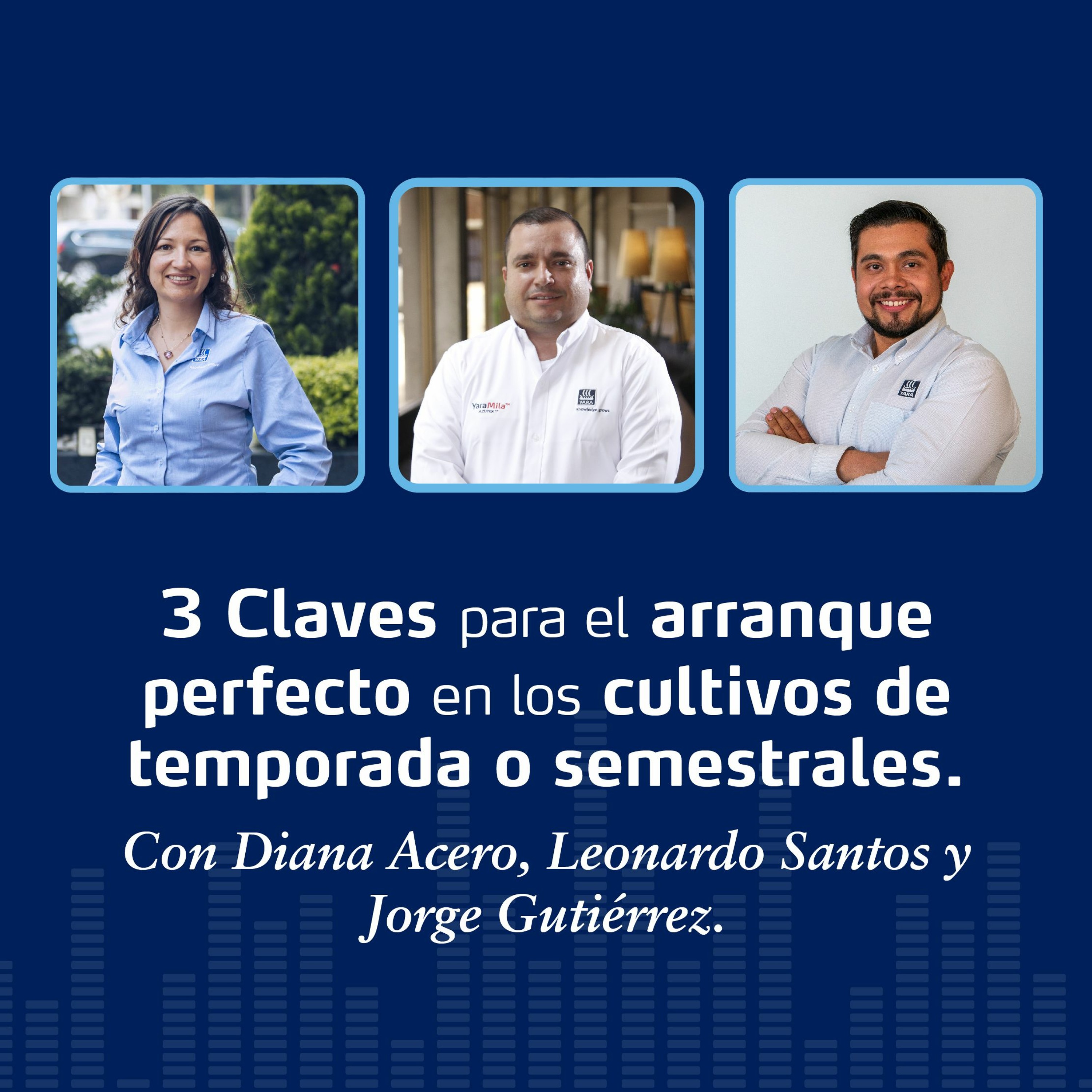 Productores Para El Futuro