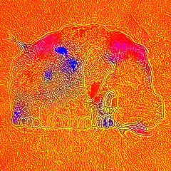 La colline aux coucous