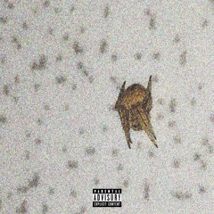 MOURNING, OFF TO THE NEXT PROD. XOEMYR, ZOE, NZD222