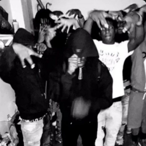 269tay - shake the crowd