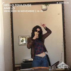 Hello Toulouse - Amelo (Novembre 2022)