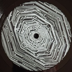 UX001 / Shkedul - You Are Now Connected (2x12")