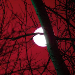 BLOOD MOON W/ KUUDERE [+ PEARLBLADE]