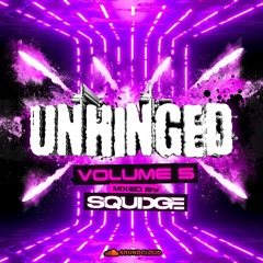 Unhinged #5 - DJ Squidge