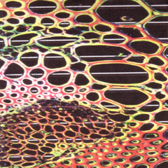 X The Unknown (Remixed By Biopsy)