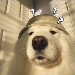 Thêm Bao Nhiêu Lâu Drill