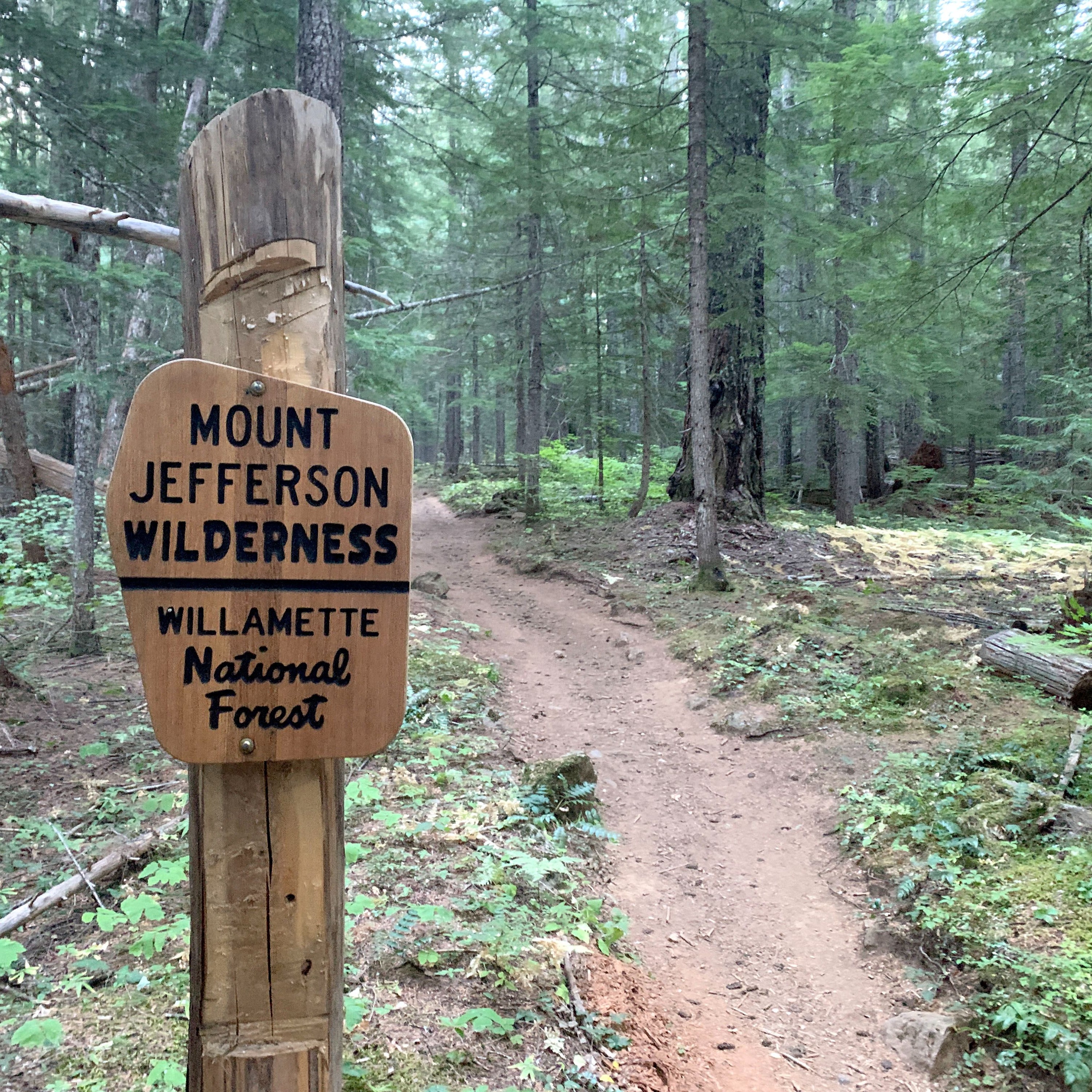 U.S. Forest Service chief Tom Schultz defends reorganization plans in interview episode artwork