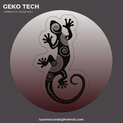 Geko-Tech-Gianluca-Calabrese